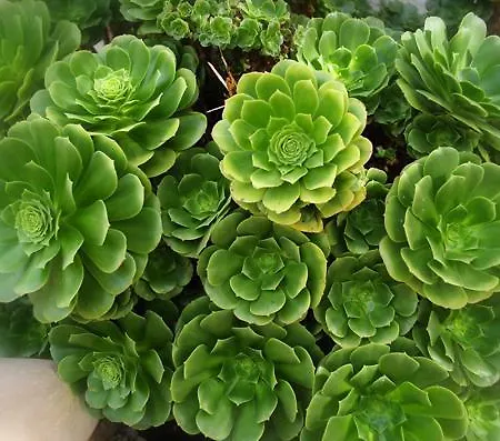 Bed & Breakfast Val D'azur 4*