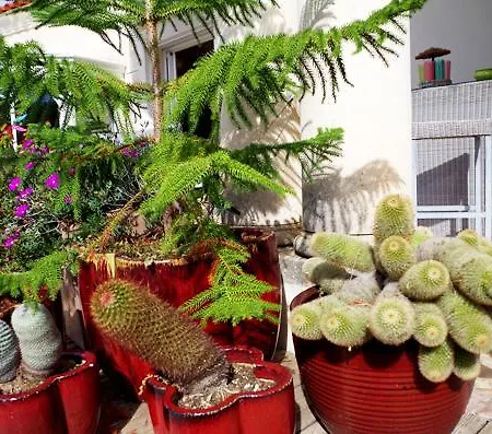 Val D'azur Bed & Breakfast 4*